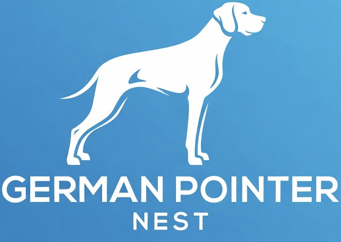German Pointer Nest